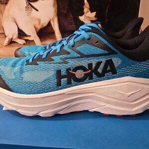 Hoka Challenger 8 Men's Running Outdoor Hiking Trail Shoes 1168716/SBLW SZ 10 US